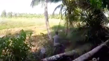 Man receives Karma after cutting down a tree!