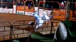 Bull rider gets stomped on to death after falling off the rodeo!