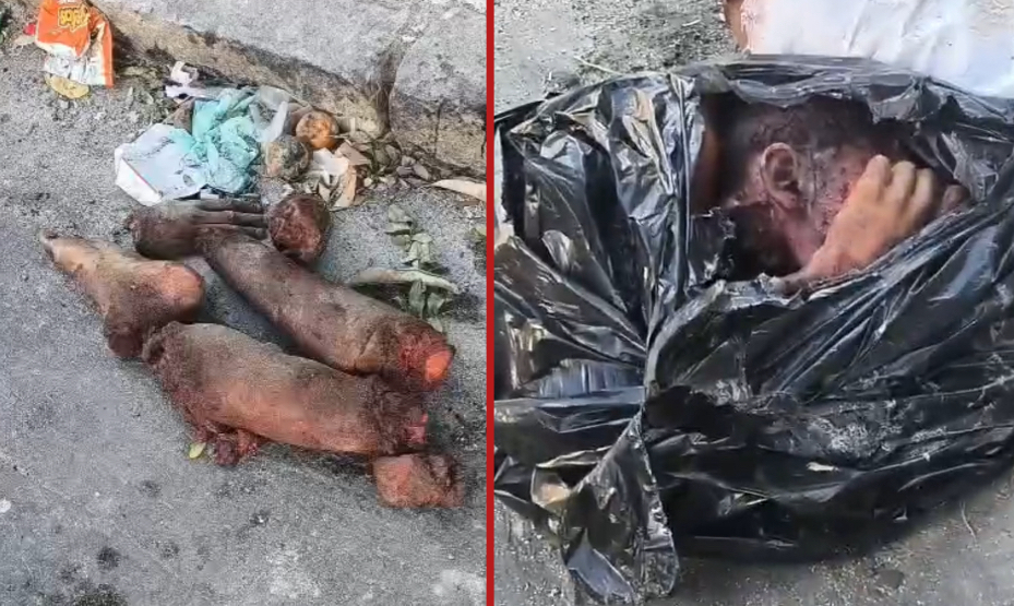 Militia members’ bodies found in forest near Nova Iguaçu following recent killings - Brazil