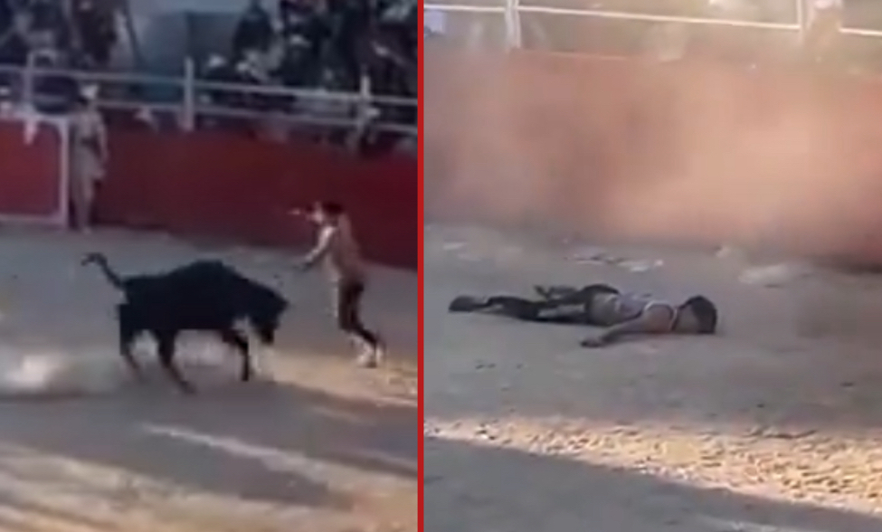 Teen gored by bull after entering ring during festival in Querocoto; survives with head trauma - Peru