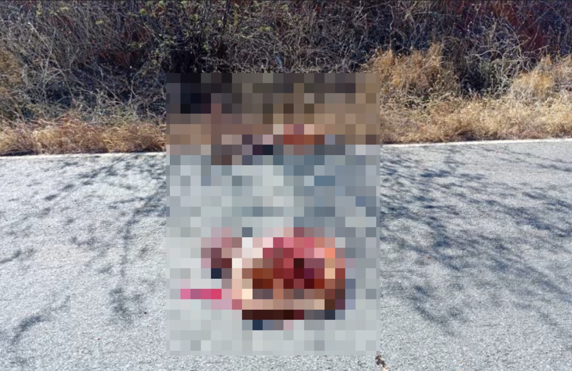 Man killed in hit-and-run on BA-156; body severely mutilated - Brazil