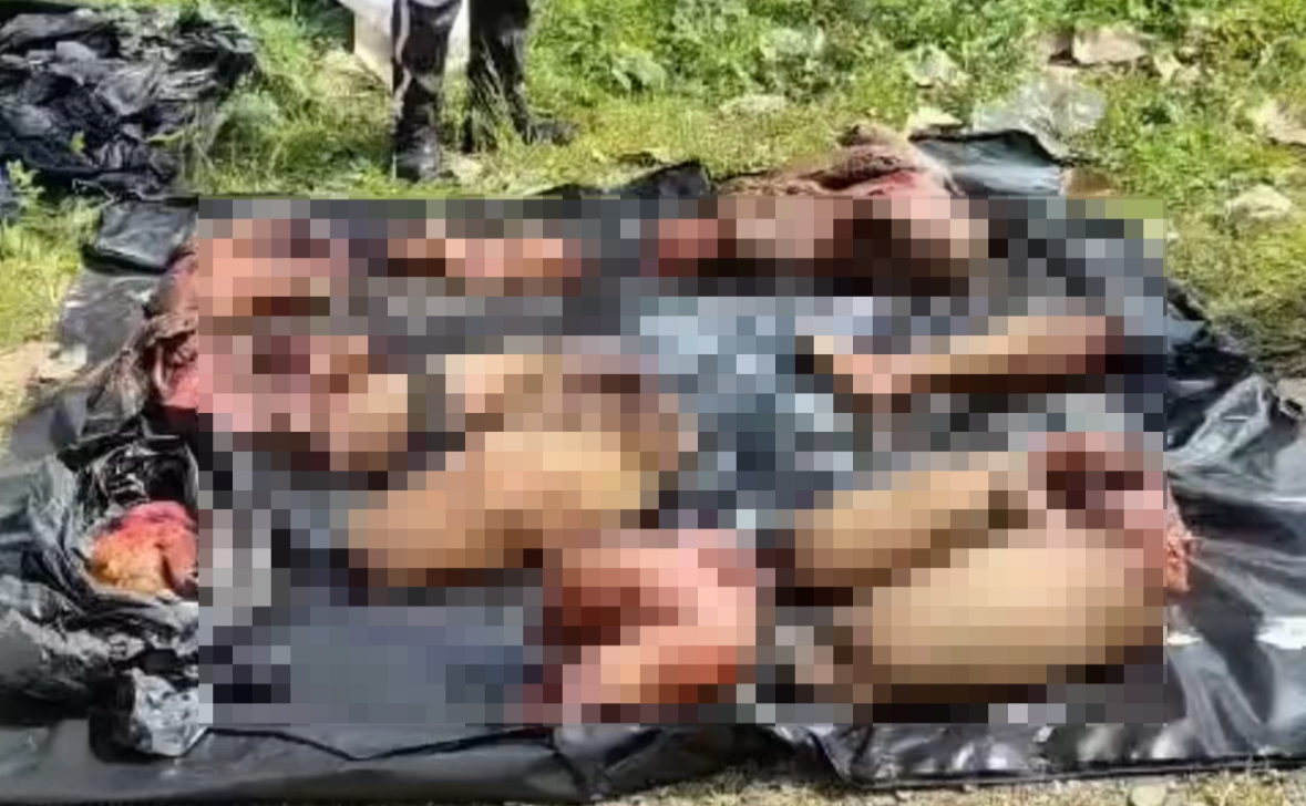 Dismembered bodies found in black bags spark police investigation in La Josefina sector - Ecuador