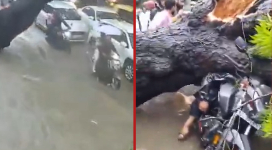 Father killed and daughter injured after tree falls on motorcycle during heavy rain in Delhi - India