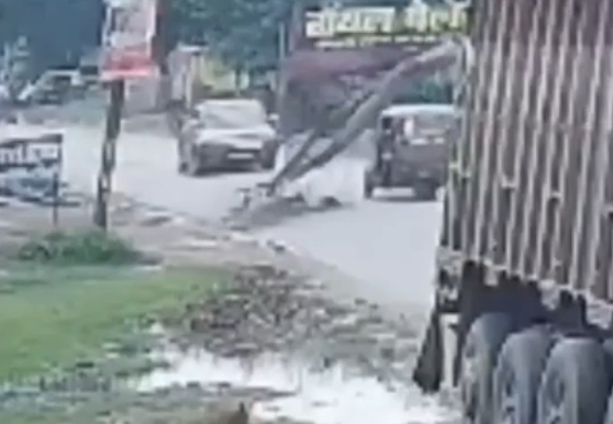 Five injured in Chandauli as dried Peepal tree branch crashes onto moving auto-rickshaw - India