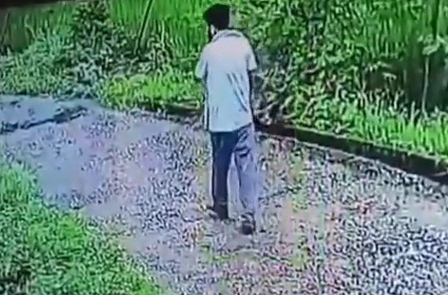 Engineer dies after wall collapses in Chhattisgarh - India