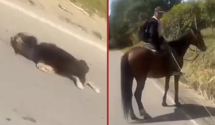 Man caught dragging dog behind horse, before woman intervenes and rescues the injured animal - Colombia