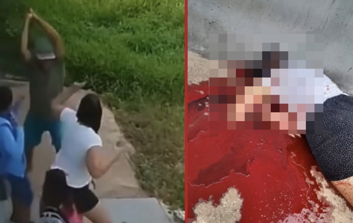Young mother hacked to death with sickle in front of her children - Brazil
