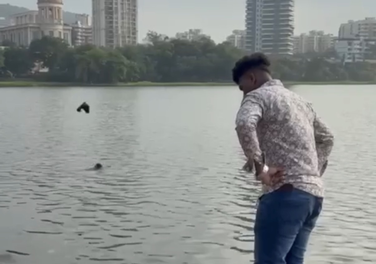 Man drowns in Powai Lake as bystanders record the incident - India
