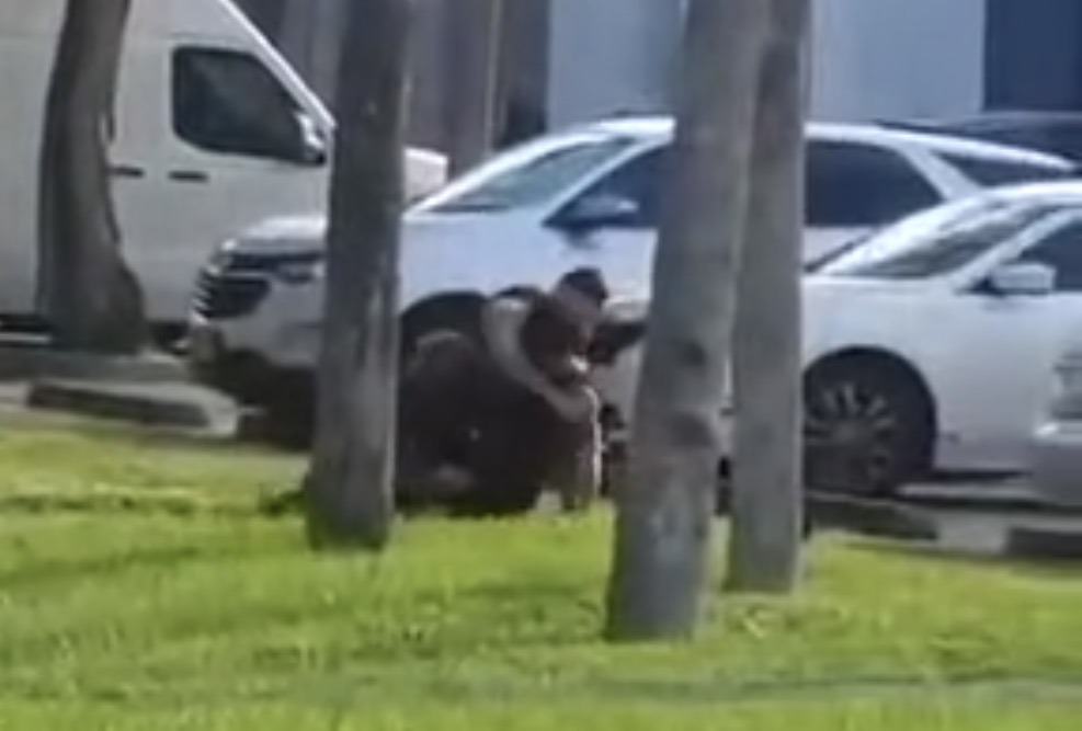 Florida deputy fatally shot after suspect disarms him during traffic incident - Kendall