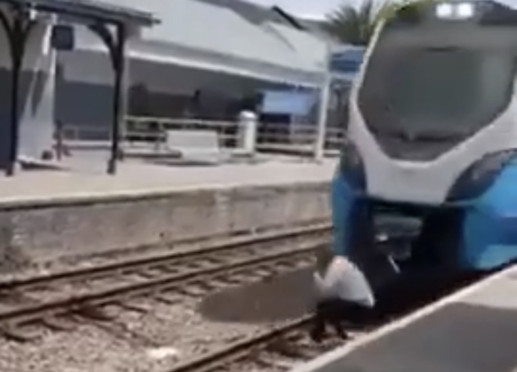 Cape Town man dies after stepping onto railway tracks in front of an oncoming train - South Africa