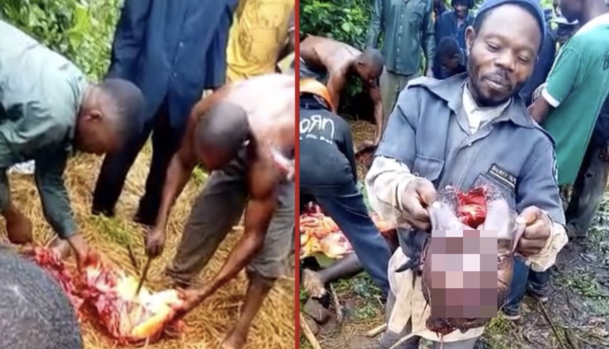 Video shows a man dismembered and butchered, triggering urgent calls for investigation and accountability - Nigeria