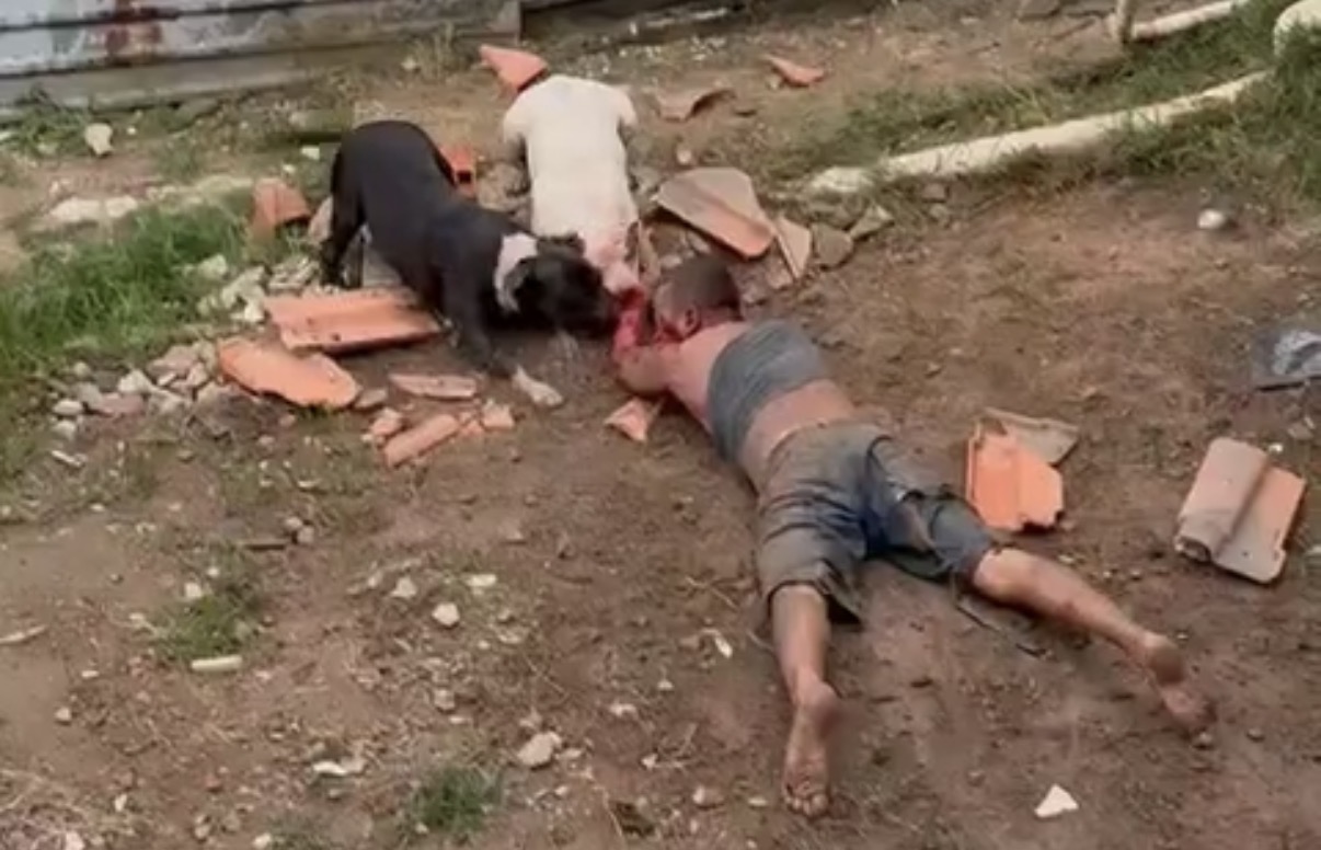 Pit bull attack leaves man dead despite police response and emergency treatment - Brazil