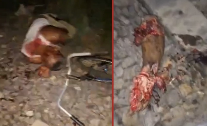 Cyclist struck by train in Orihueca, succumbs to injuries as authorities investigate - Colombia