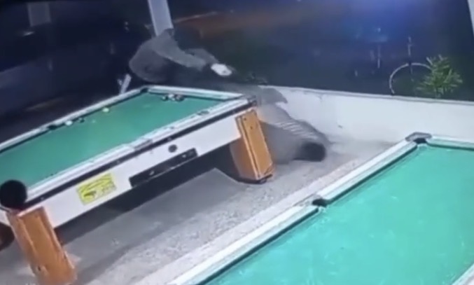 Parliamentary advisor gunned down inside a bar while playing pool in Eunápolis - Brazil