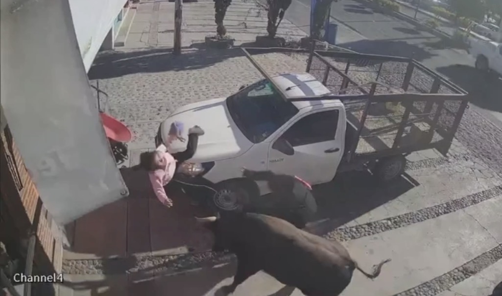 Bull on the loose injures six after charging pedestrians - Mexico
