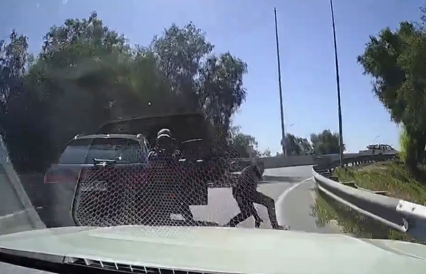 Driver runs down robber to escape highway ambush - Chile