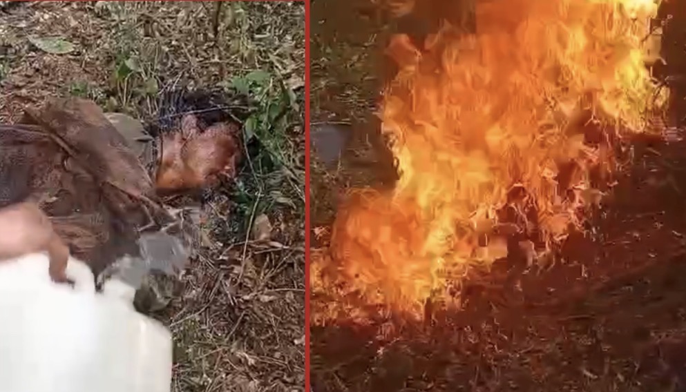 Man doused in gasoline and set ablaze by Sicarios - Mexico