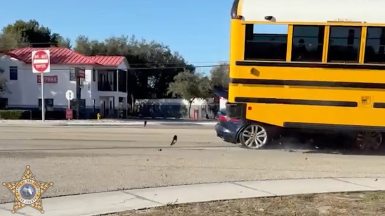 Driver issued citation after crashing into school bus in Lee County - Florida
