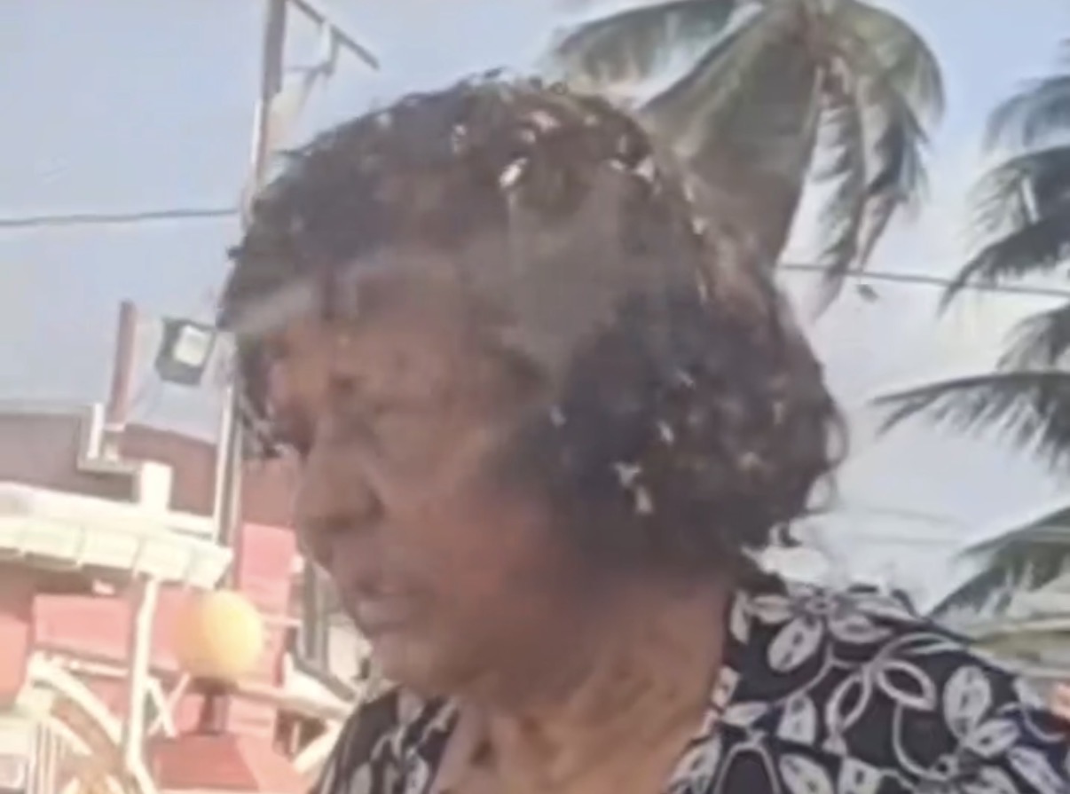 Elderly woman swarmed by wasps as man steps in to try and help - Guyana