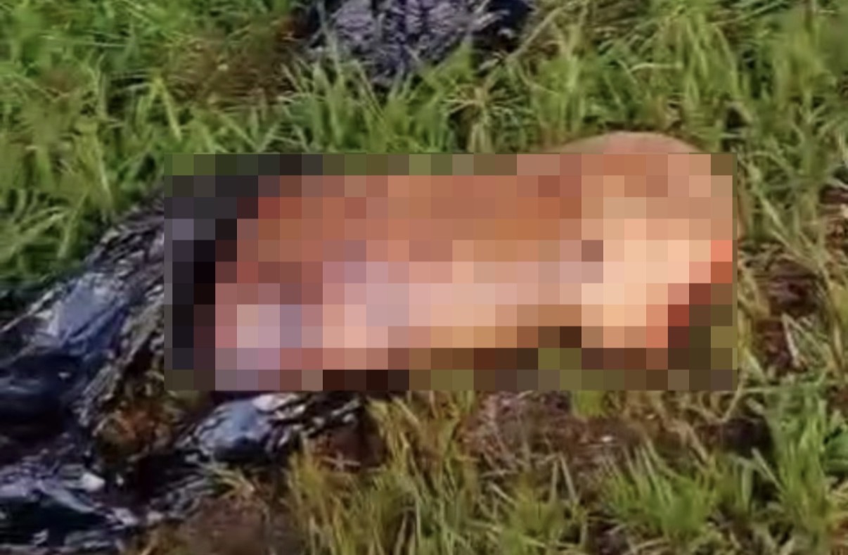 Dismembered body discovered near BRT station - Brazil