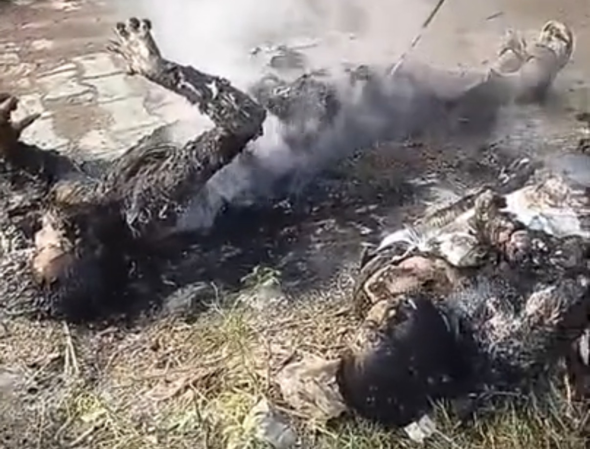 Two killed after high-tension wire falls; villagers demand compensation - India