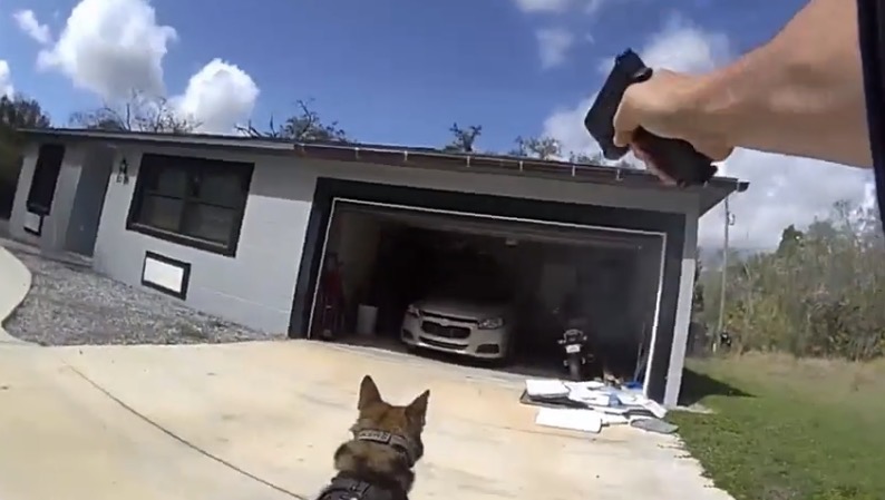 Gunman kills man, wounds woman, then shoots at deputy before being shot by police - Florida