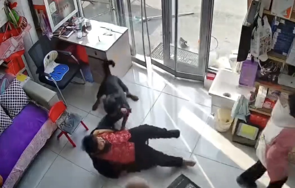Elderly woman mauled after being attacked by Rottweiler - China