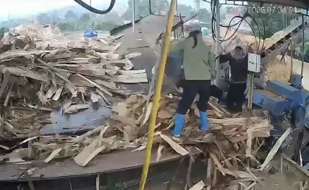 Woman killed in workplace accident after being pulled into wood processing machine - Vietnam