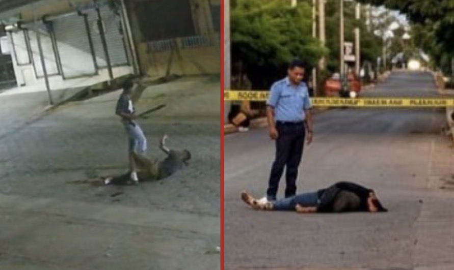 Man hacked to death with machete outside bar in Nicaragua as attacker flees - Nicaragua