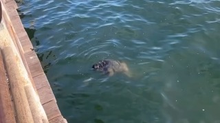 Man's body recovered after fishermen hook remains in San Diego Bay - California